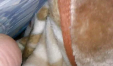 بزرگ عرب, سگ ماده با حجاب لینک کانال تلگرام داستان های سکسی